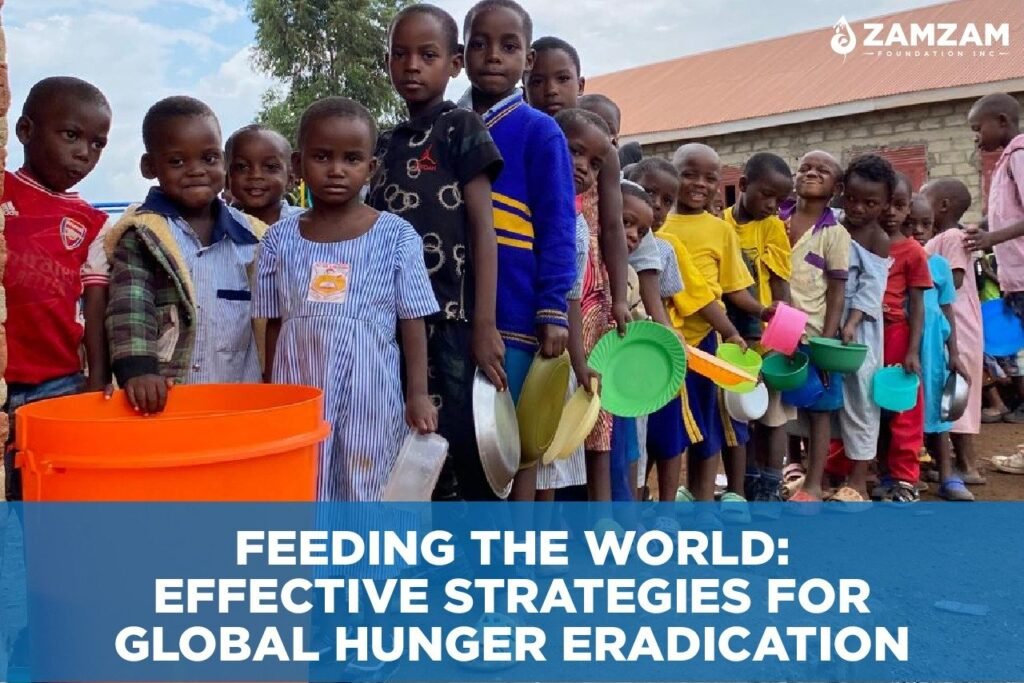 Feeding the World: Effective Strategies for Global Hunger Eradication