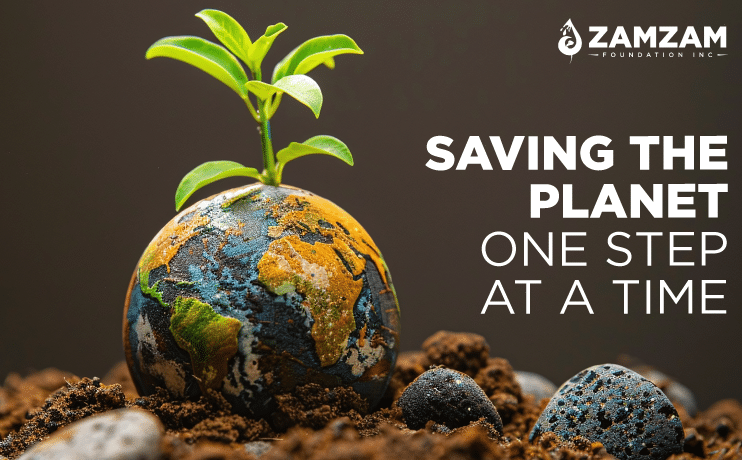 environment problems and solutions