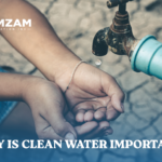 Why Is Clean Water Important