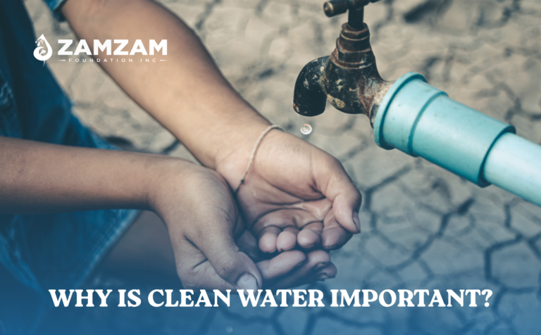 Why Is Clean Water Important